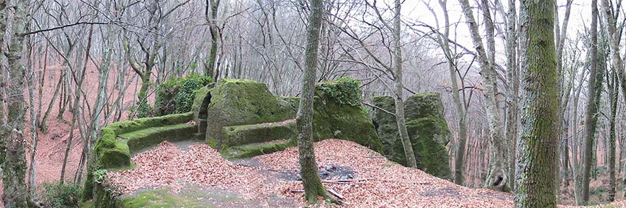 Alberi genelogioci antiche memorie